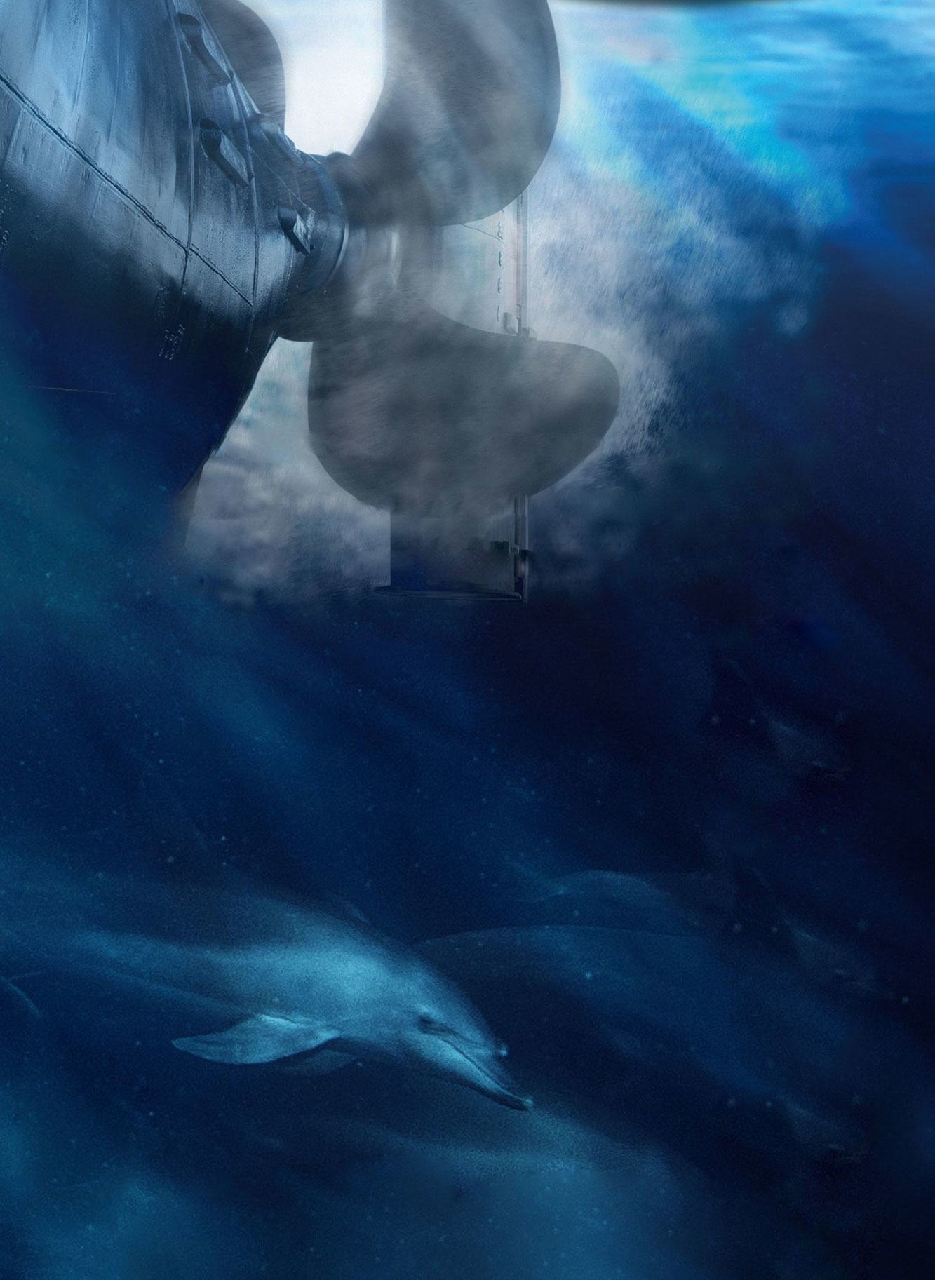 Scientists have documented how the constant mechanical hum of ships can disorient whales, disrupt migration routes, and drown out the acoustic cues that many marine species rely on to survive.