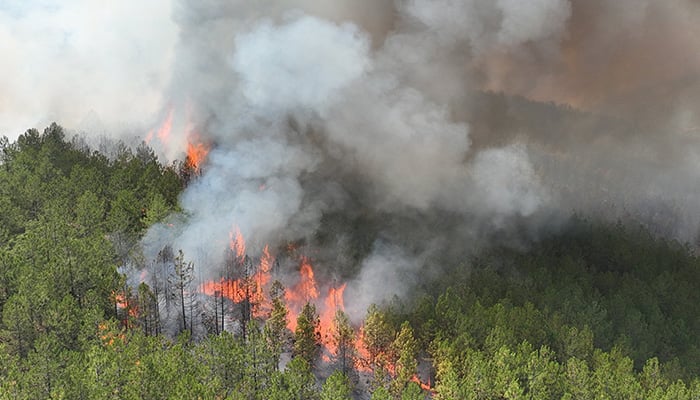 A drone view shows smoke rising from a wildfire in Harmancik in the northwestern Bursa province, Turkey, July 28, 2025. — Reuters