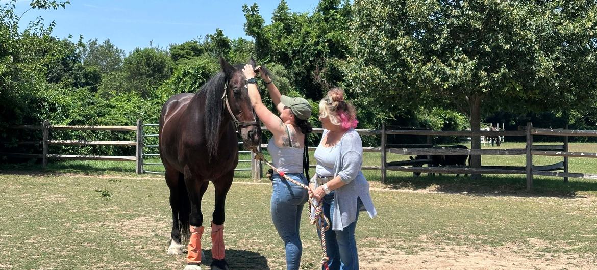 Located on Long Island New York’s scenic North Fork, Spirit’s Promise provides a sanctuary of healing for both animals and humans alike. 