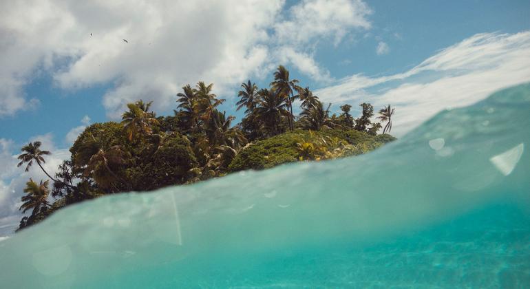 SDG 14 on Life Below Water is one of the Goals under review in 2025.