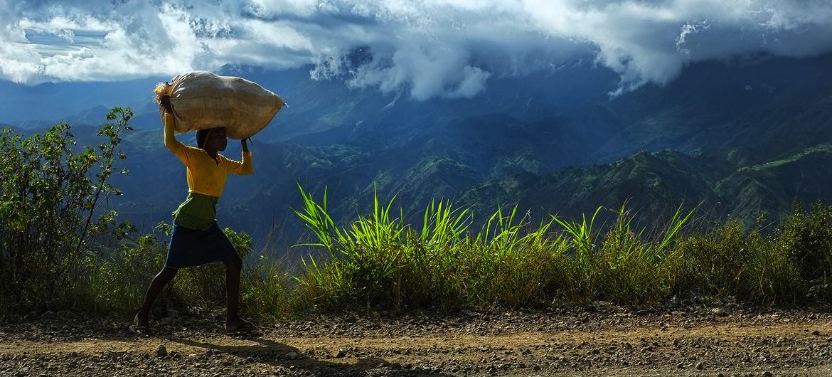 The long-term development of Haiti is at risk as funding decreases.