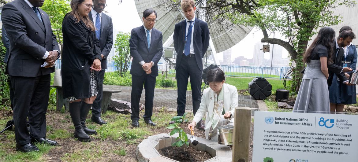 Izumi Nakamitsu, UN High Representative for Disarmament Affairs (in white), during the tree planting ceremony at Headquarters to commemorate the 80th Anniversary of the founding of the United Nations and the atomic bombings in Hiroshima and Nagasaki.