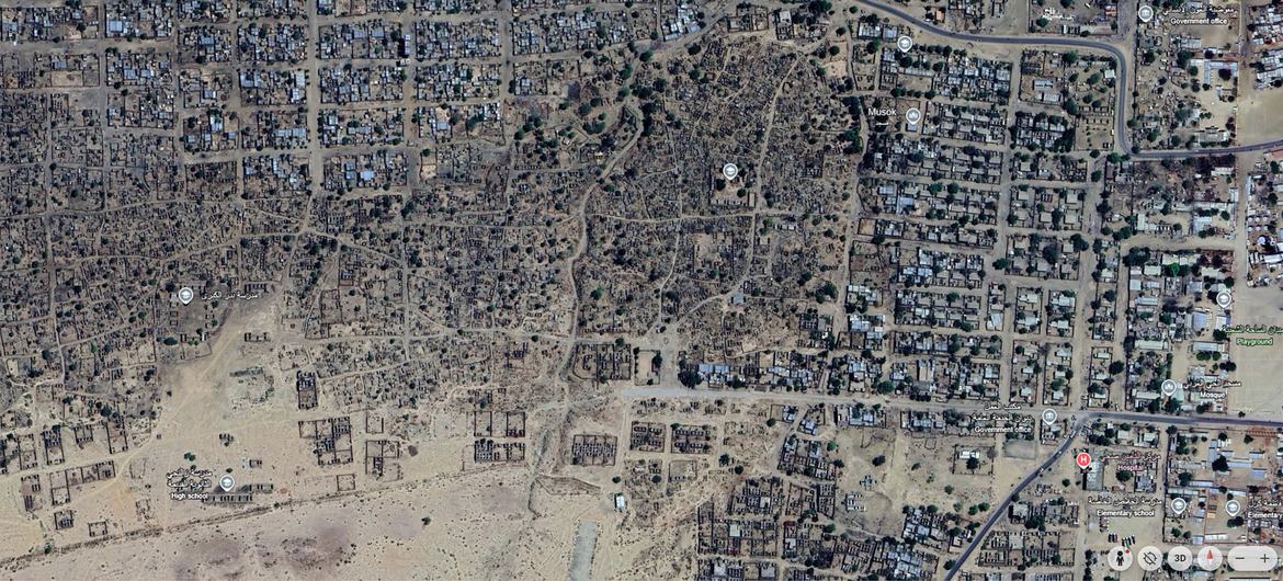 Google Earth image of Zalingei as of 21 March 2025 with visible signs of house destruction on the southern part of the city.