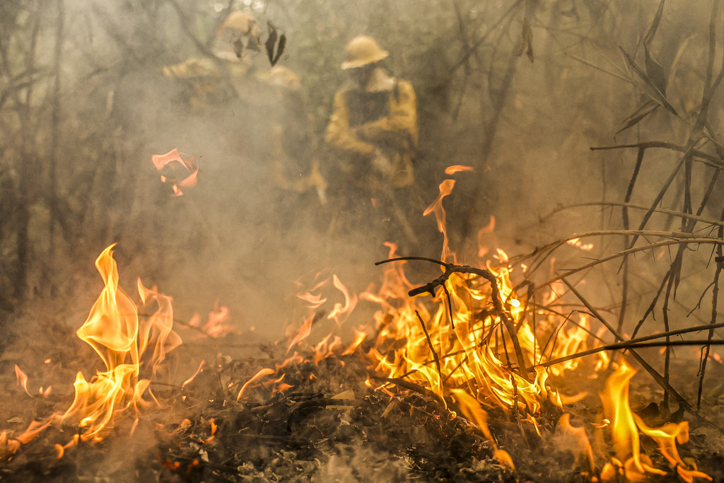Firefighters in the Pantanal, Brazil (file 2024)