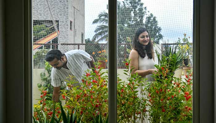 Natasha Uppal (right), a pollution refugee and founder of maternal health support group Matrescence India, arranging plant pots with her husband Nikhil at the terrace garden of their residence in Bengaluru on September 27, 2025. — AFP