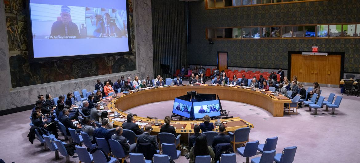 A wide view of the UN Security Council open debate on small arms and light weapons.