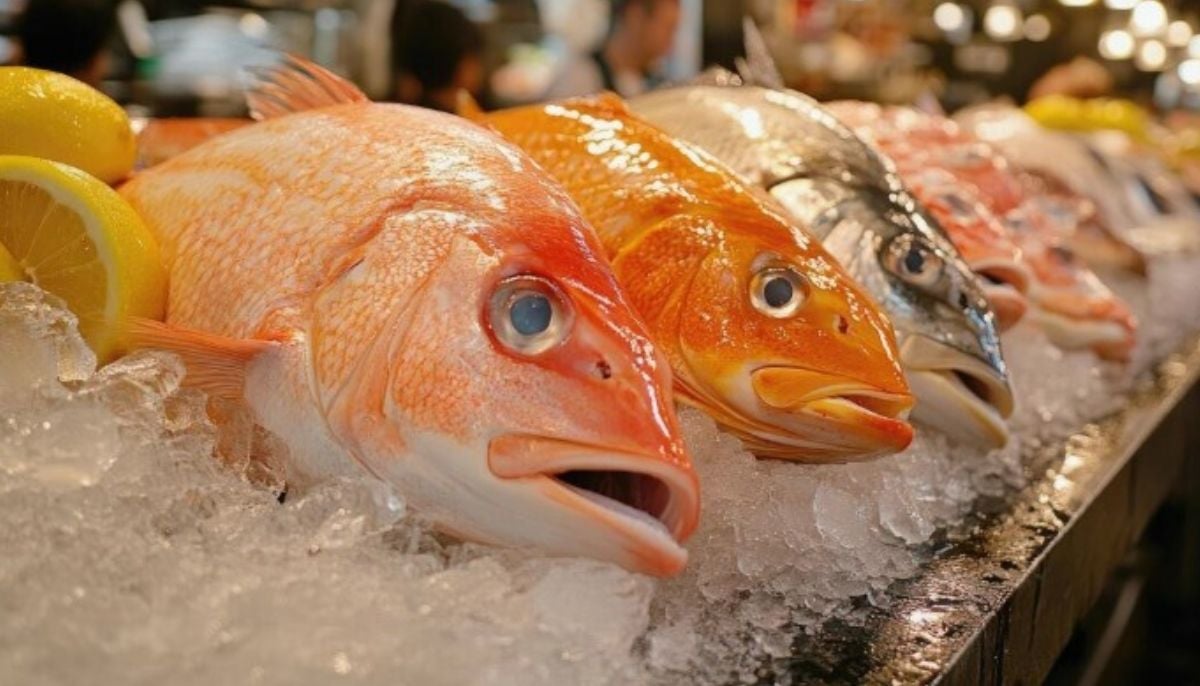 Worlds biggest fish market is set to open in Sydney: First look revealed