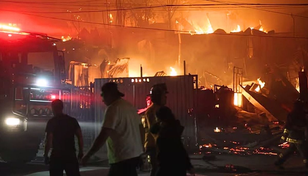 Chile in Danger: Deadly wildfires kill 20,forced 50,000 to flee; President declares ‘State of Catastrophe’