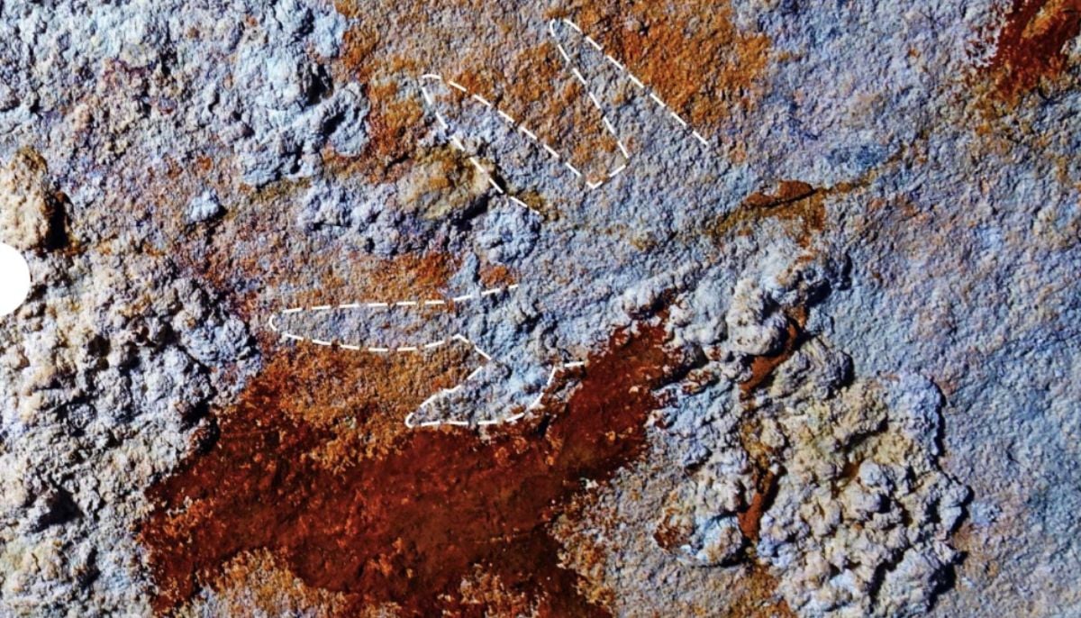 Worlds oldest artwork: 68,000 year-old cave paintings discovered in Indonesia