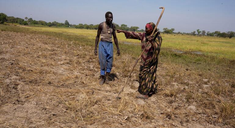 A Sudanese refugee woman teaches a man how to work the field in the Central African Republic, demonstrating survival techniques using a traditional farming tool.