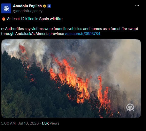 Deadly wildfire sweeps southern Spain, leaving 12 dead